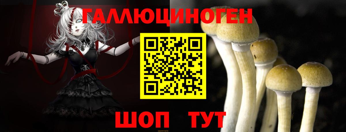 Дмитров  Псилоцибиновые грибы мицелий  Вход с VPN  Галлюциногенные грибы ЛСД 